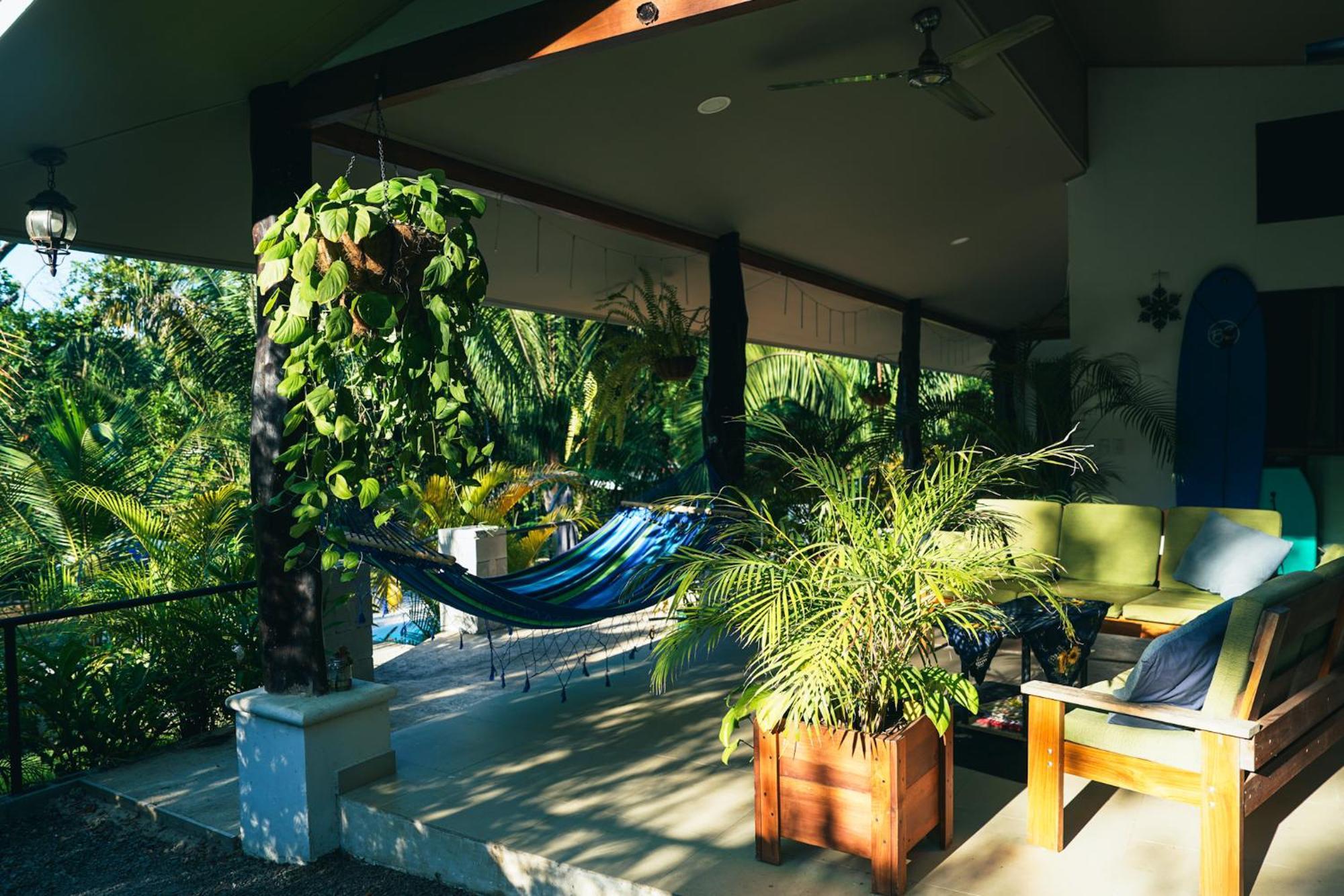House In The Palm Forest Puerto Carrillo Buitenkant foto