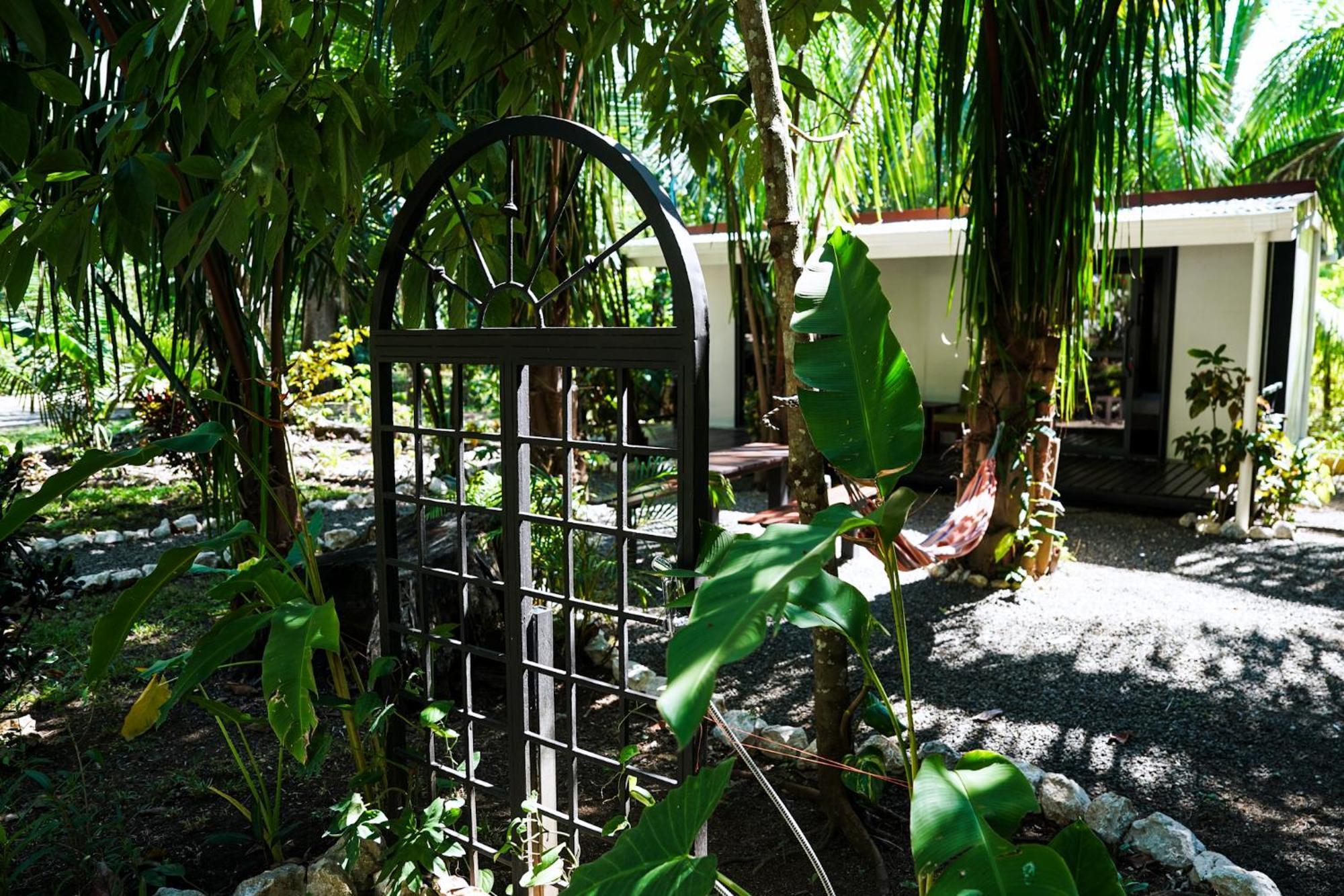 House In The Palm Forest Puerto Carrillo Buitenkant foto