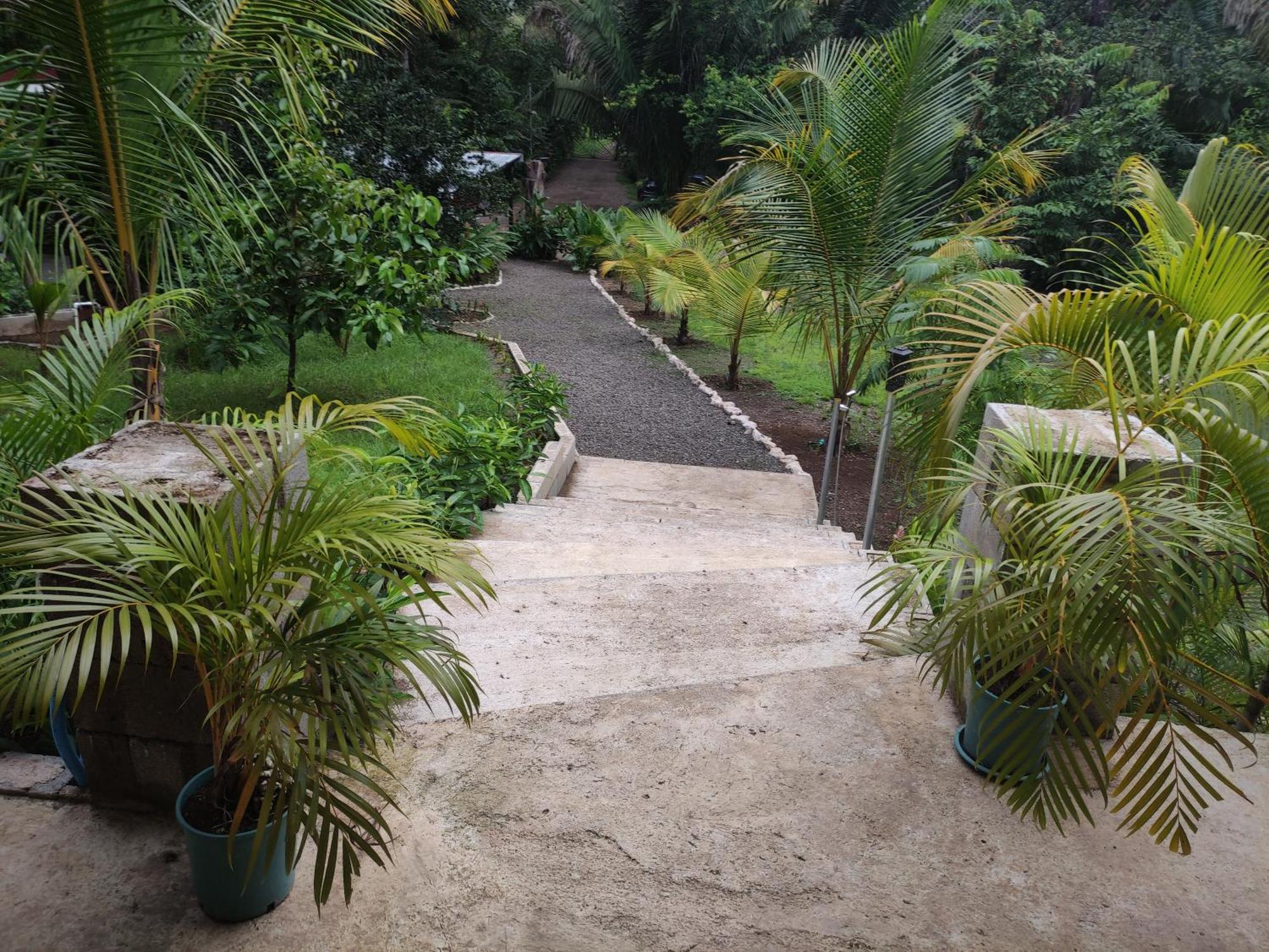 House In The Palm Forest Puerto Carrillo Buitenkant foto
